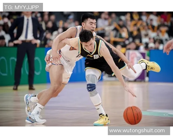 篮球专题：聚焦上海篮球队的状态