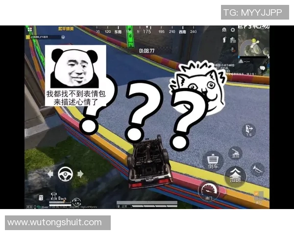 杨强专访：回顾和平精英历程